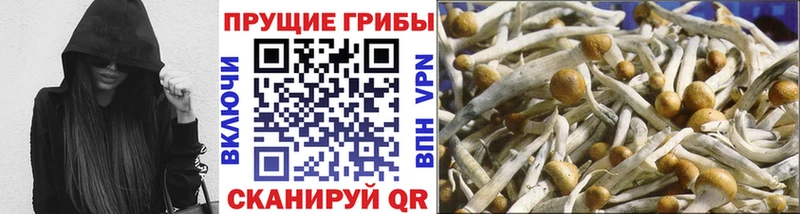 Галлюциногенные грибы прущие грибы  Купить  Ярославль 